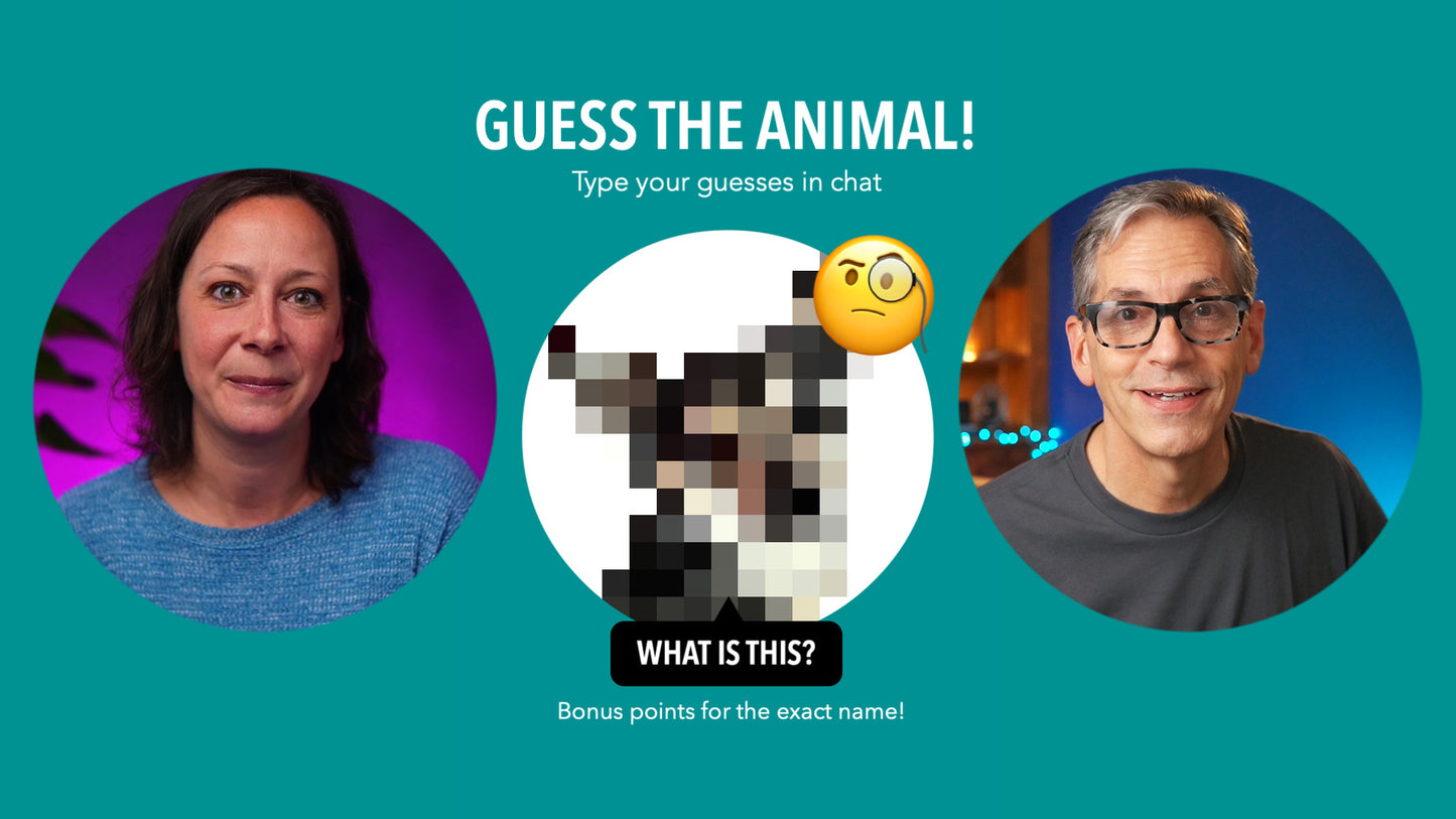 Customizable Guess The Image Trivia Scenes for Ecamm Live